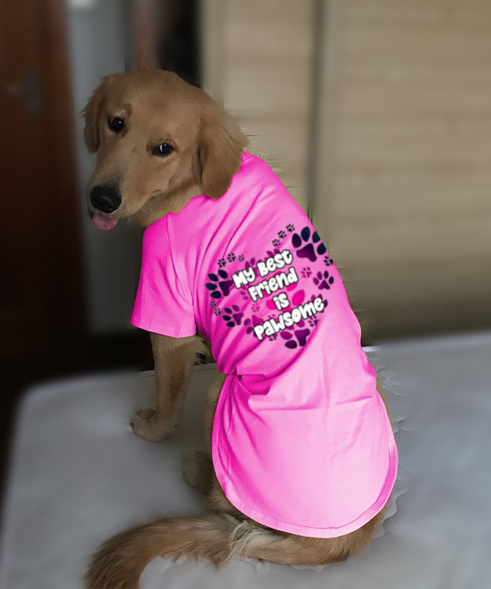 My Best Friend is Pawsome with Hearts Pet/Owner Set P